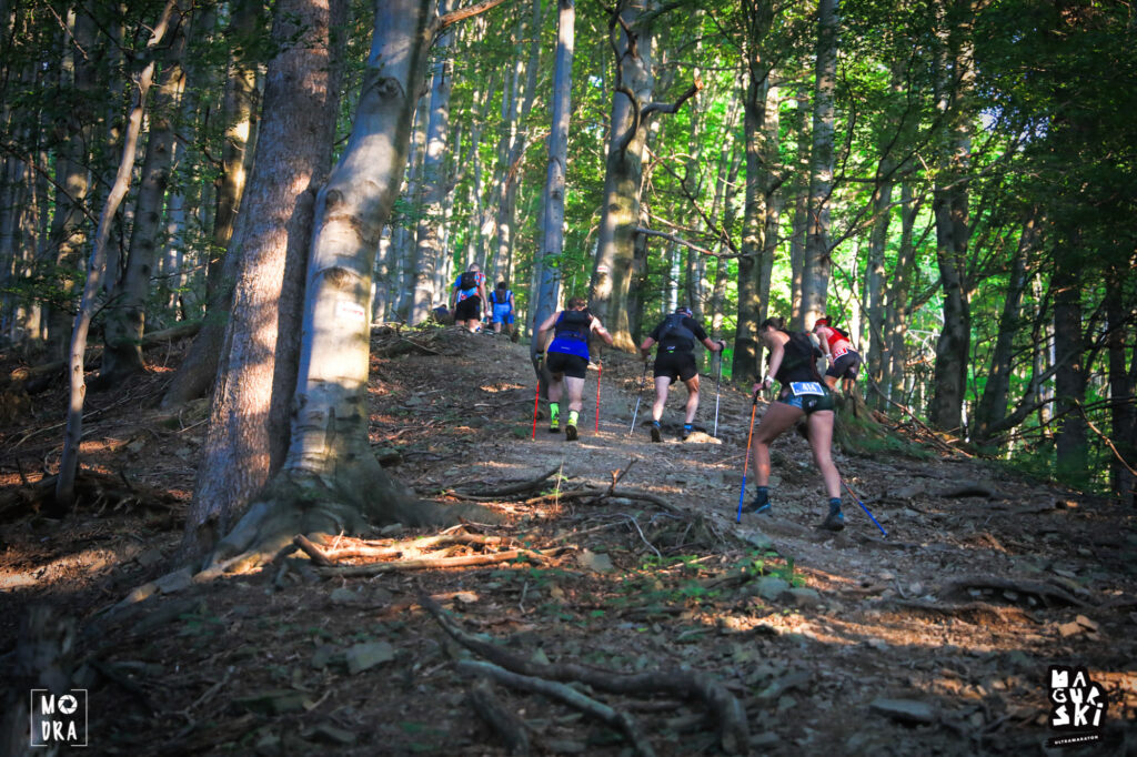 Runners on the forest paths of the Magura Ultranaraton.